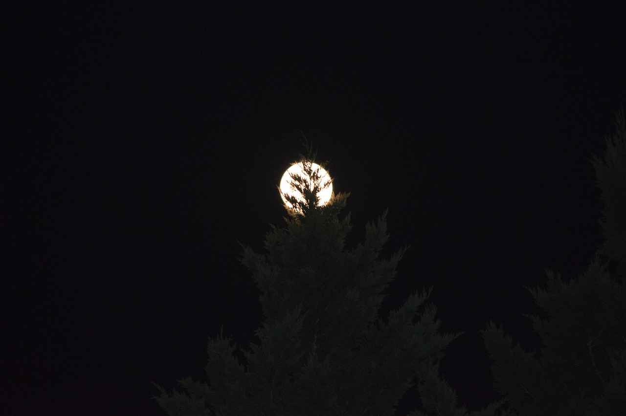 Su Diyeti için En Uygun Zamanlar