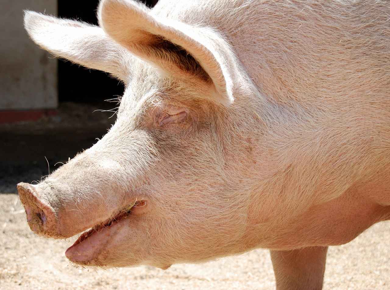 Su Diyeti Uygulama Yöntemleri