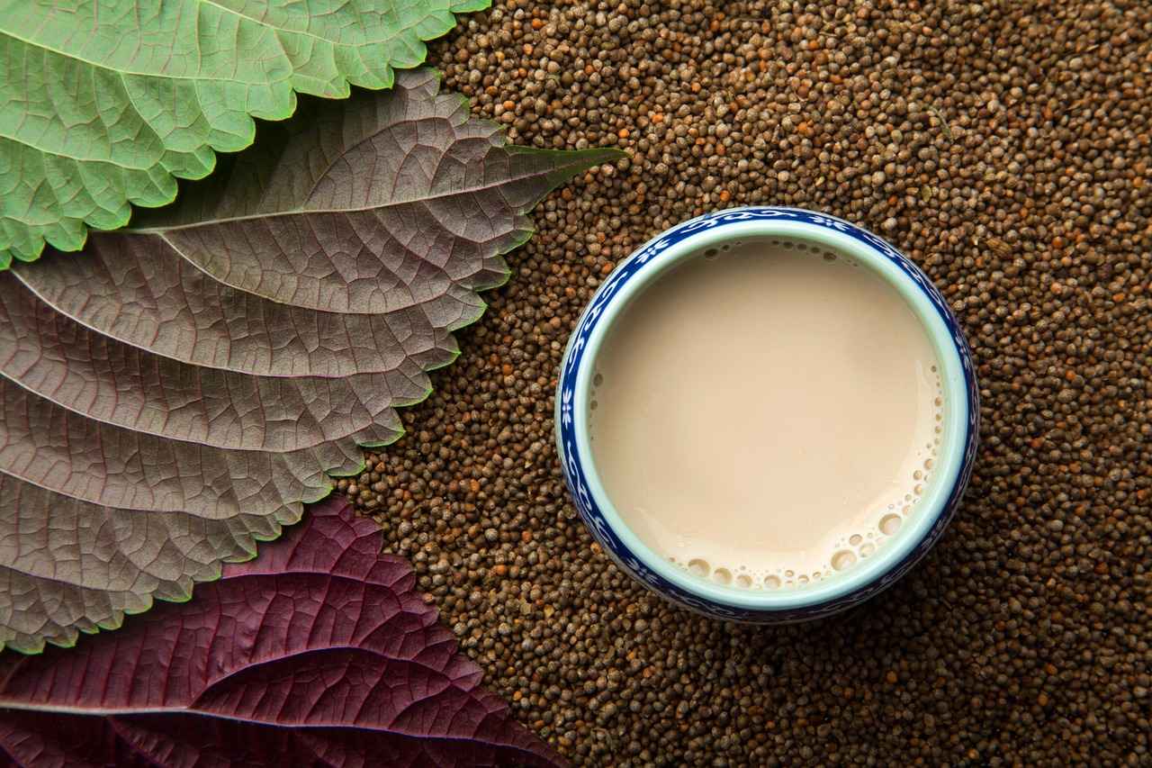 Su Diyetinin Faydaları