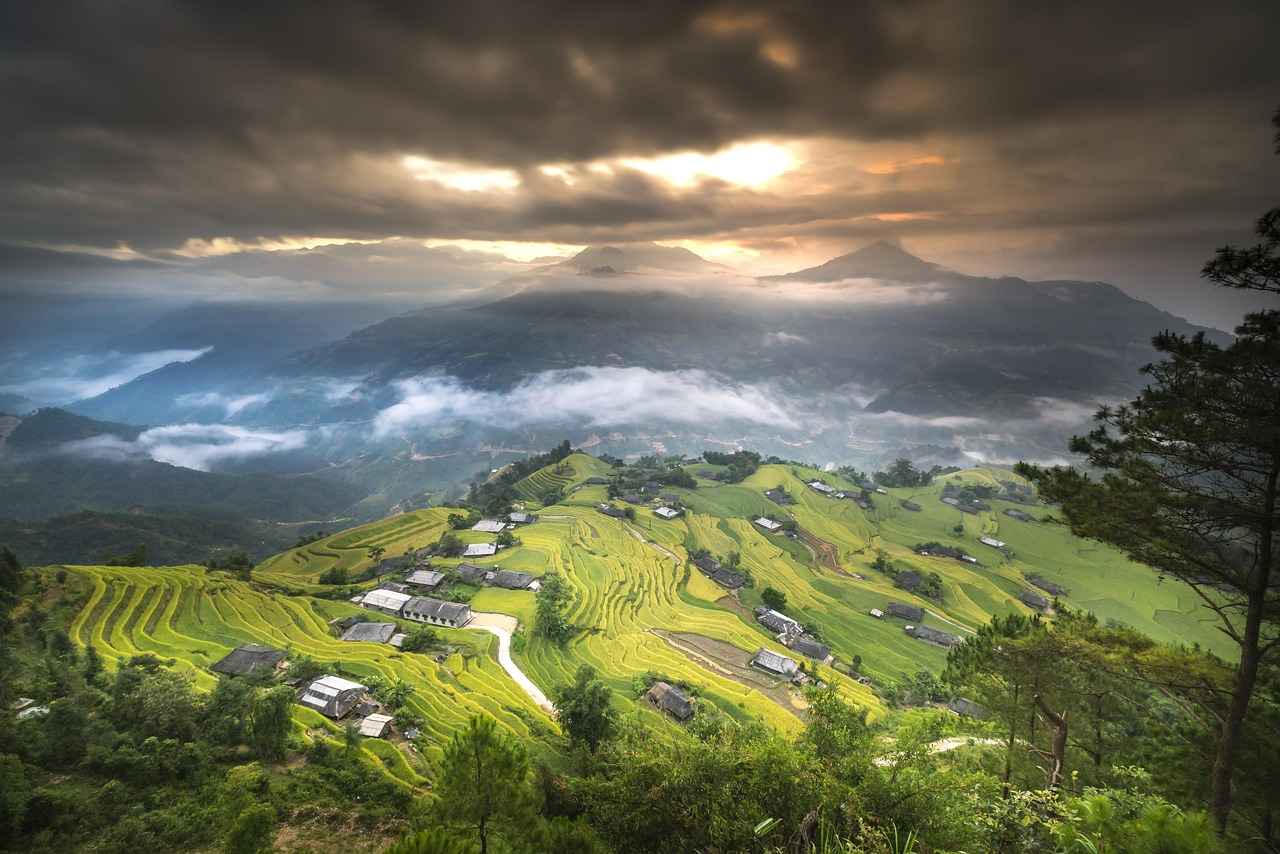 Su Diyetinin Faydaları