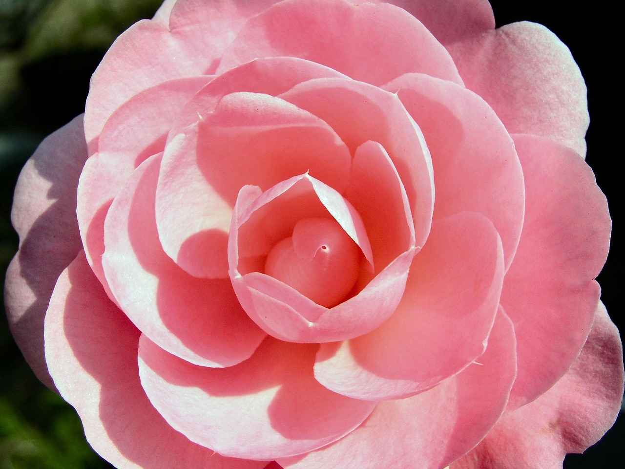 Su diyeti: Şişkinlikten kurtulmanın yolu 2 Su Diyeti Nasıl Uygulanır?