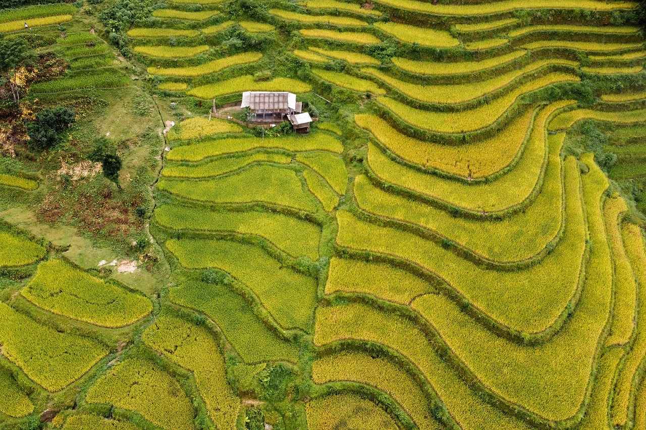 Su Diyeti: Su İçmenin Faydaları 2 Su Diyetinin Temel Prensipleri