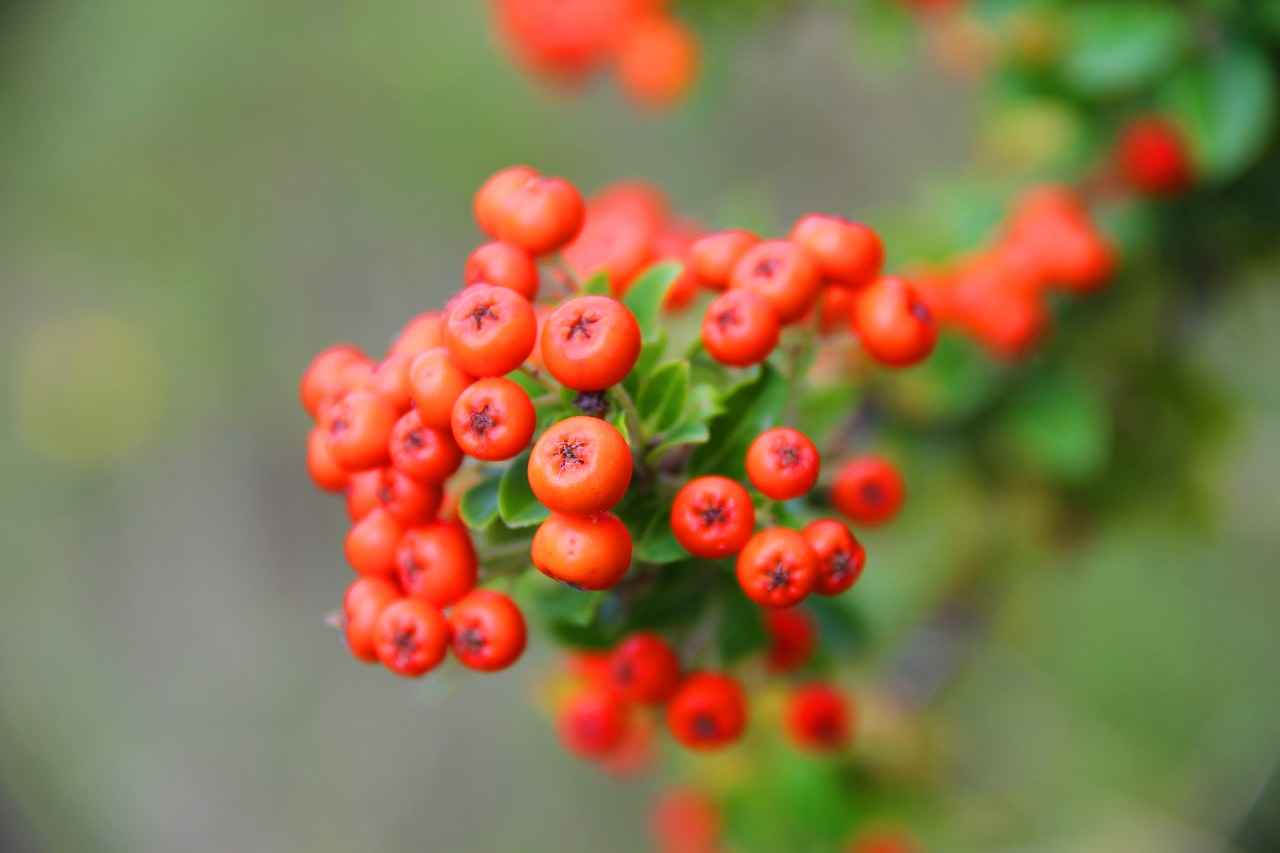 Su Diyeti: Su İçmenin Faydaları 3 Su Diyeti Uygularken Dikkat Edilmesi Gerekenler