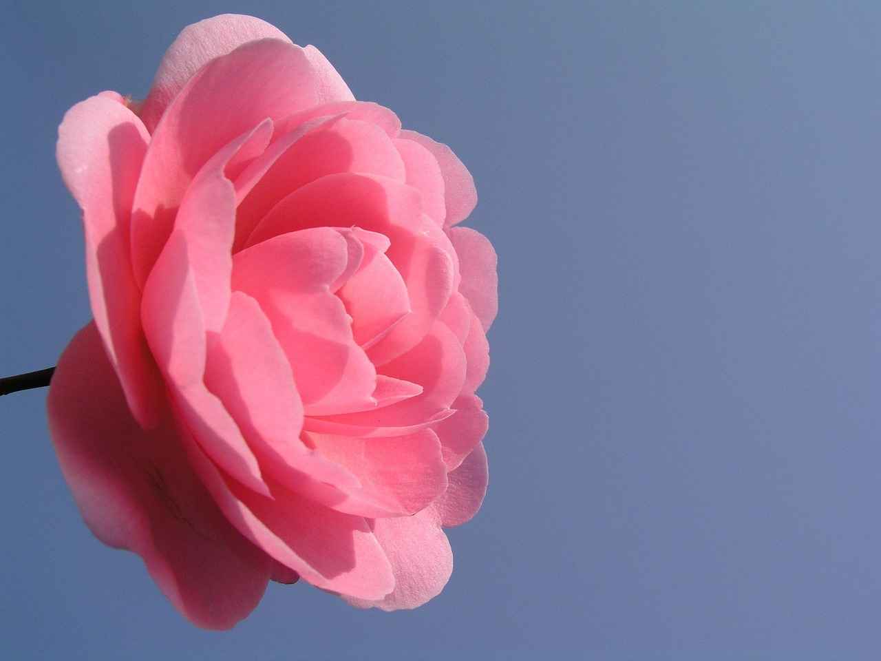 Sonuç: Su Diyetinin Faydaları ve Dikkat Edilmesi Gerekenler