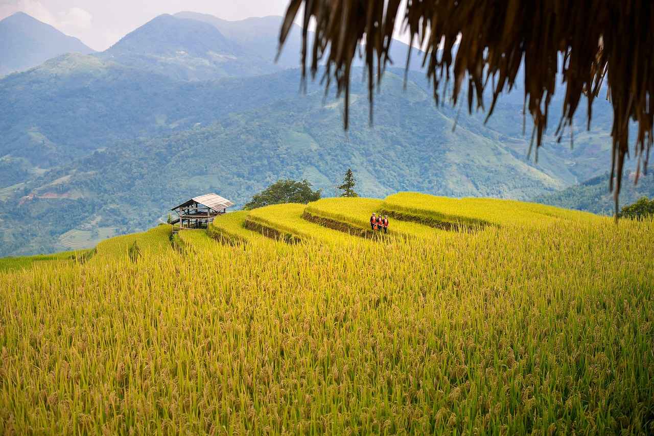 Sonuç: Su Diyeti ile Sağlıklı Zayıflama