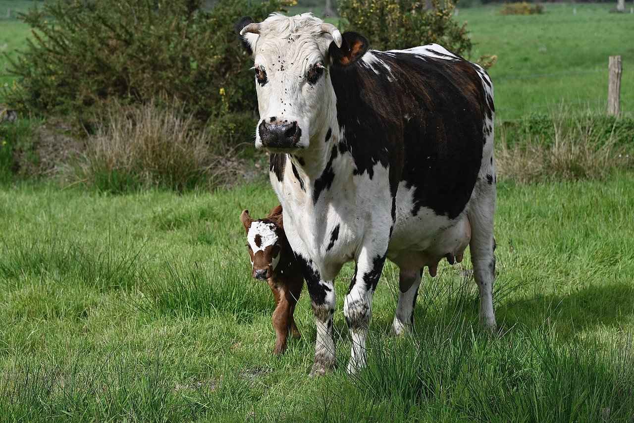 Su Diyetiyle Detox Yapmanın Yolları 3 Su Diyeti Uygularken Dikkat Edilmesi Gerekenler