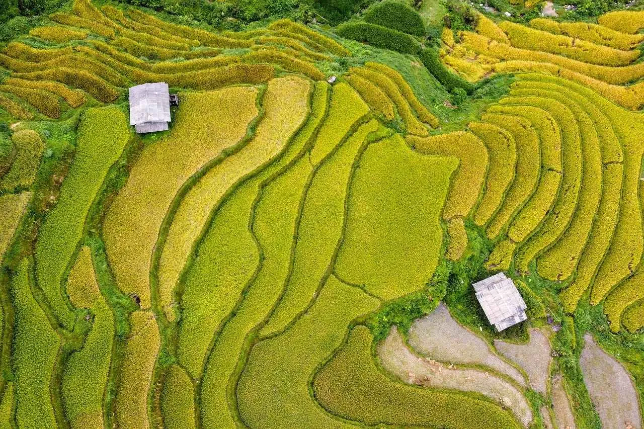 Su Diyetiyle Kilo Vermenin Püf Noktaları Su Diyetiyle Kilo Vermenin Püf Noktaları