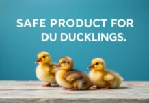 Bebekleriniz için Güvenli Ürünler: 2024 Rehberimiz Safe Products for Your Ducklings: Our 2024 Guide